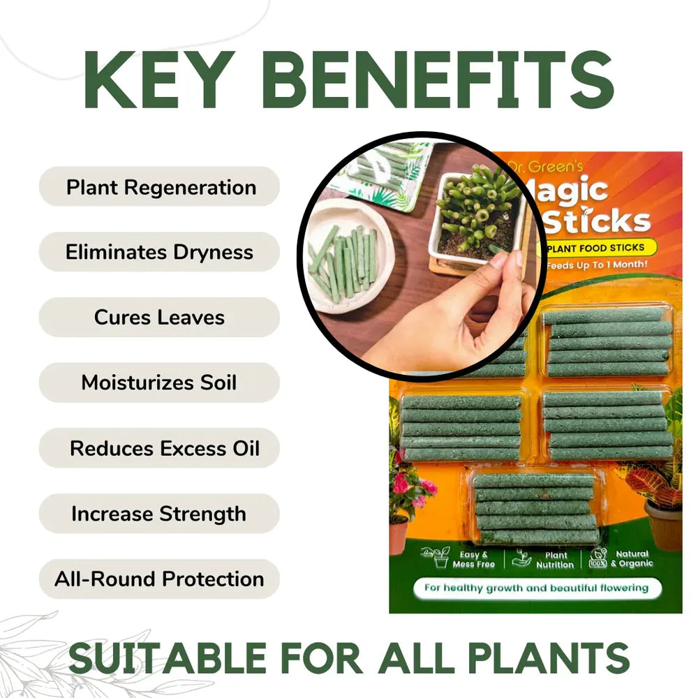 Dr.Green's - Magic Plant Sticks