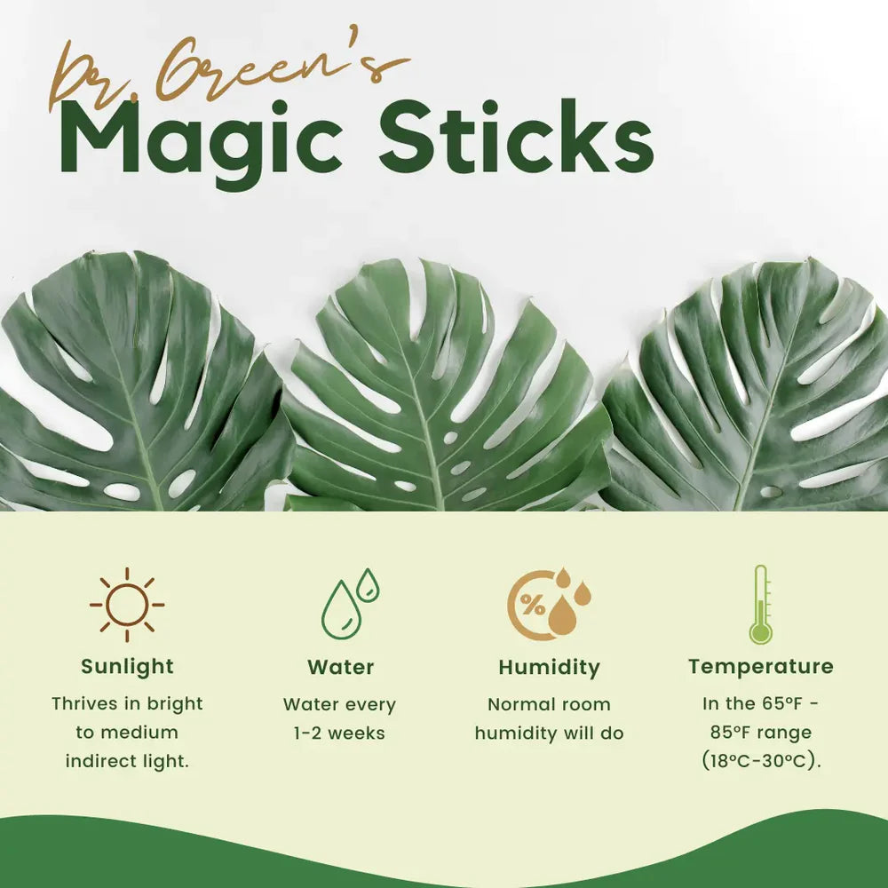 Dr.Green's - Magic Plant Sticks